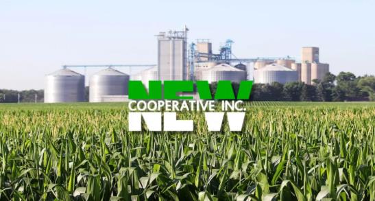newcooperative�⹥��.jpg