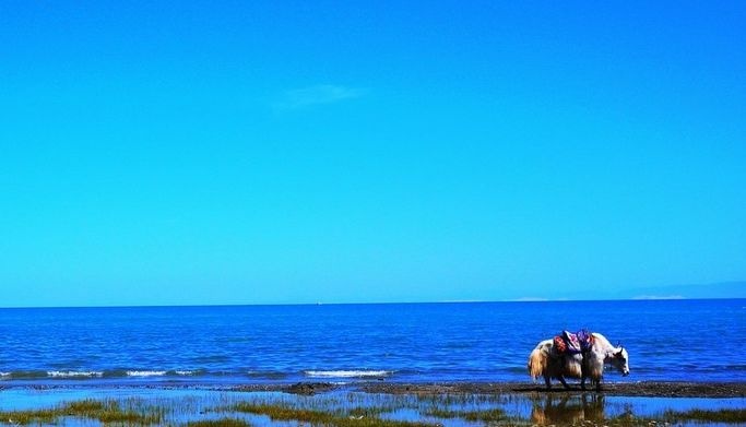 ������ʱ - �������ǲ�!